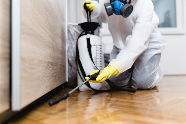 Best Best Pest Control Companies  in Minturn, CO