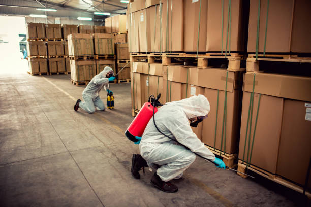 Best Emergency Pest Control  in Minturn, CO
