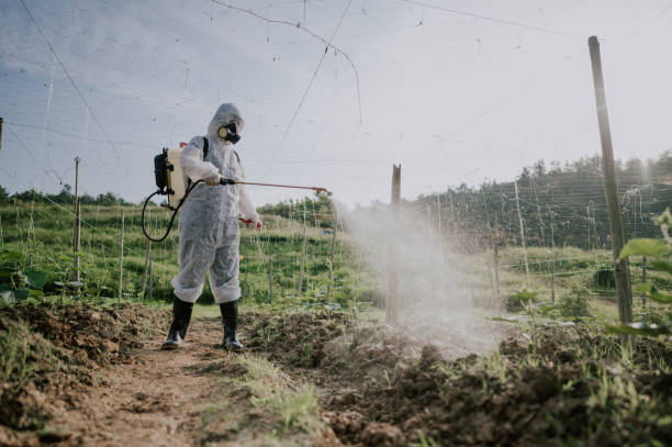 Best Best Pest Control Companies  in Minturn, CO