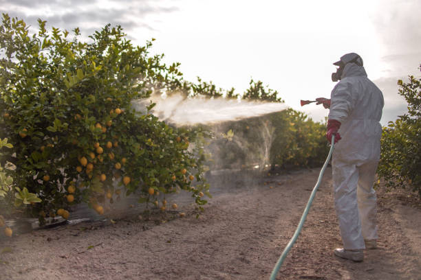 Best Best Pest Control Companies  in Minturn, CO