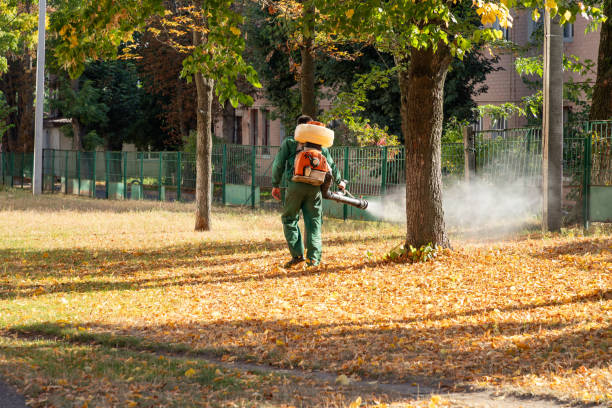 Best Insect Control  in Minturn, CO
